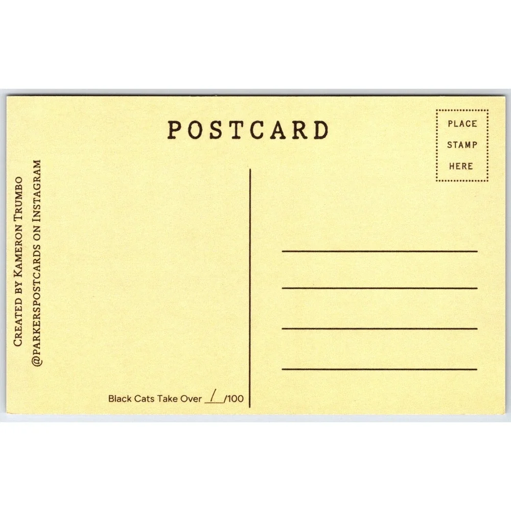 Anthropomorphic Black Cats Halloween Modern Postcard Limited Edition 1/100 Bats